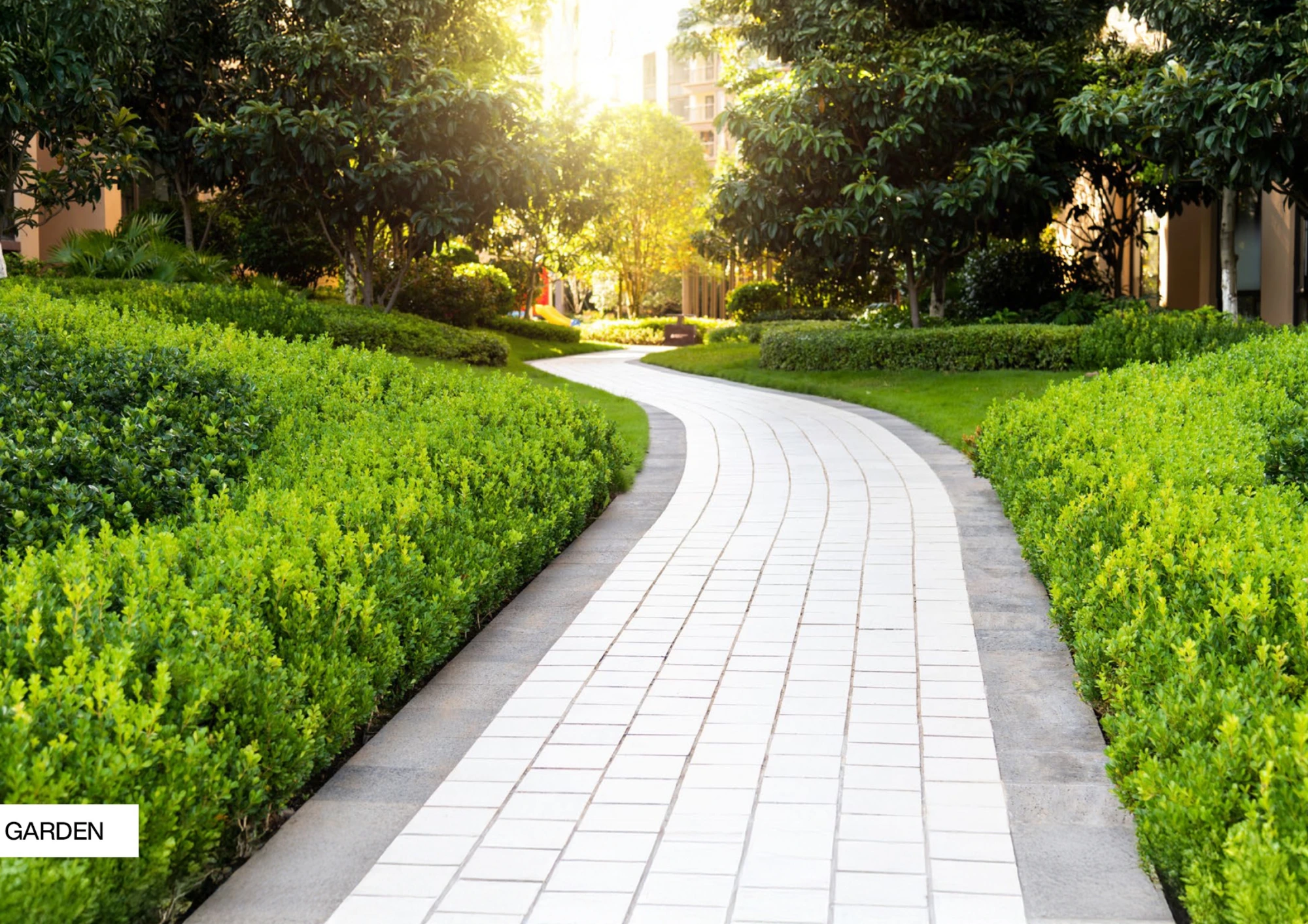 Garden and open space view